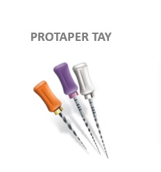 PROTAPER TAY